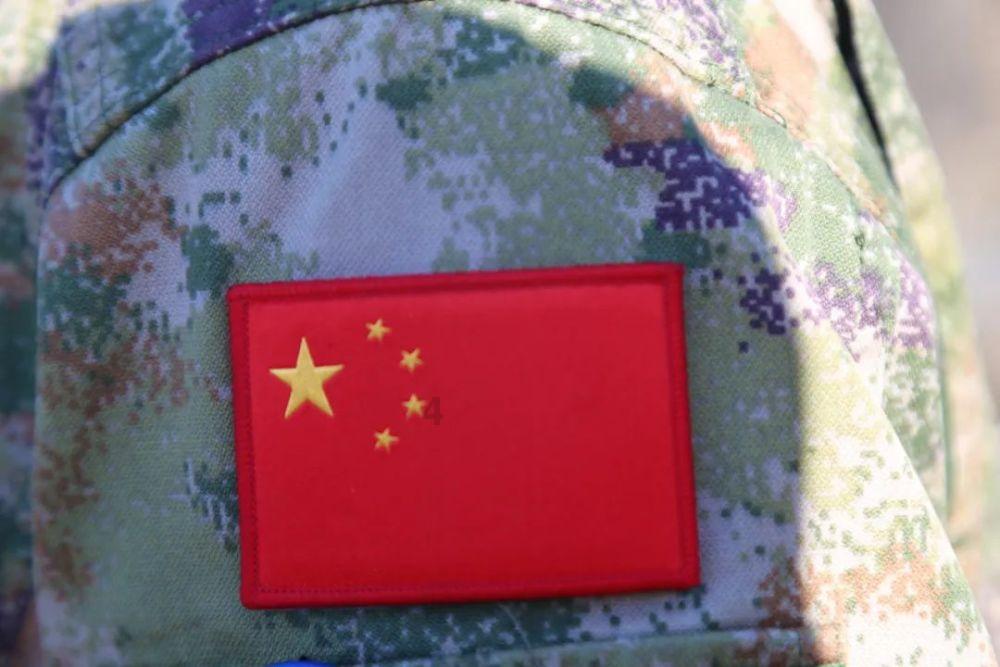 动物家园守卫战